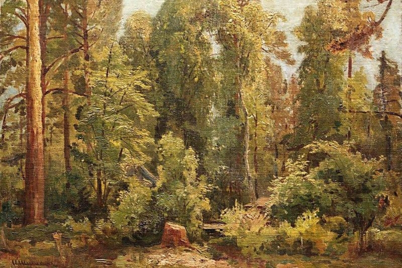 Не указано
