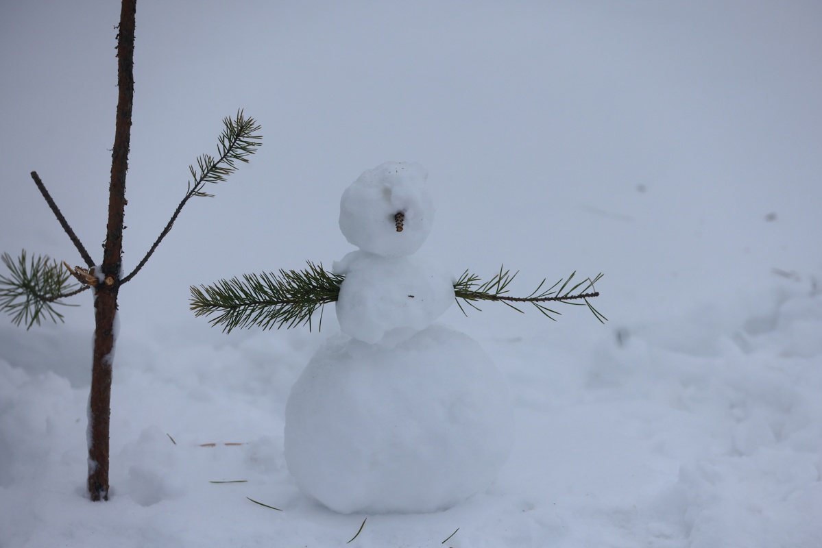 На новогодние каникулы казанцам стоит ждать похолодания