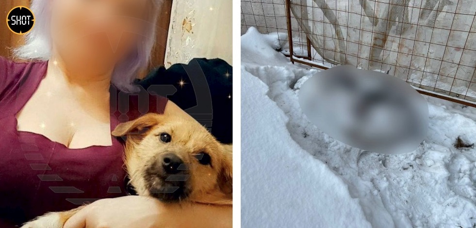 Эротика көру