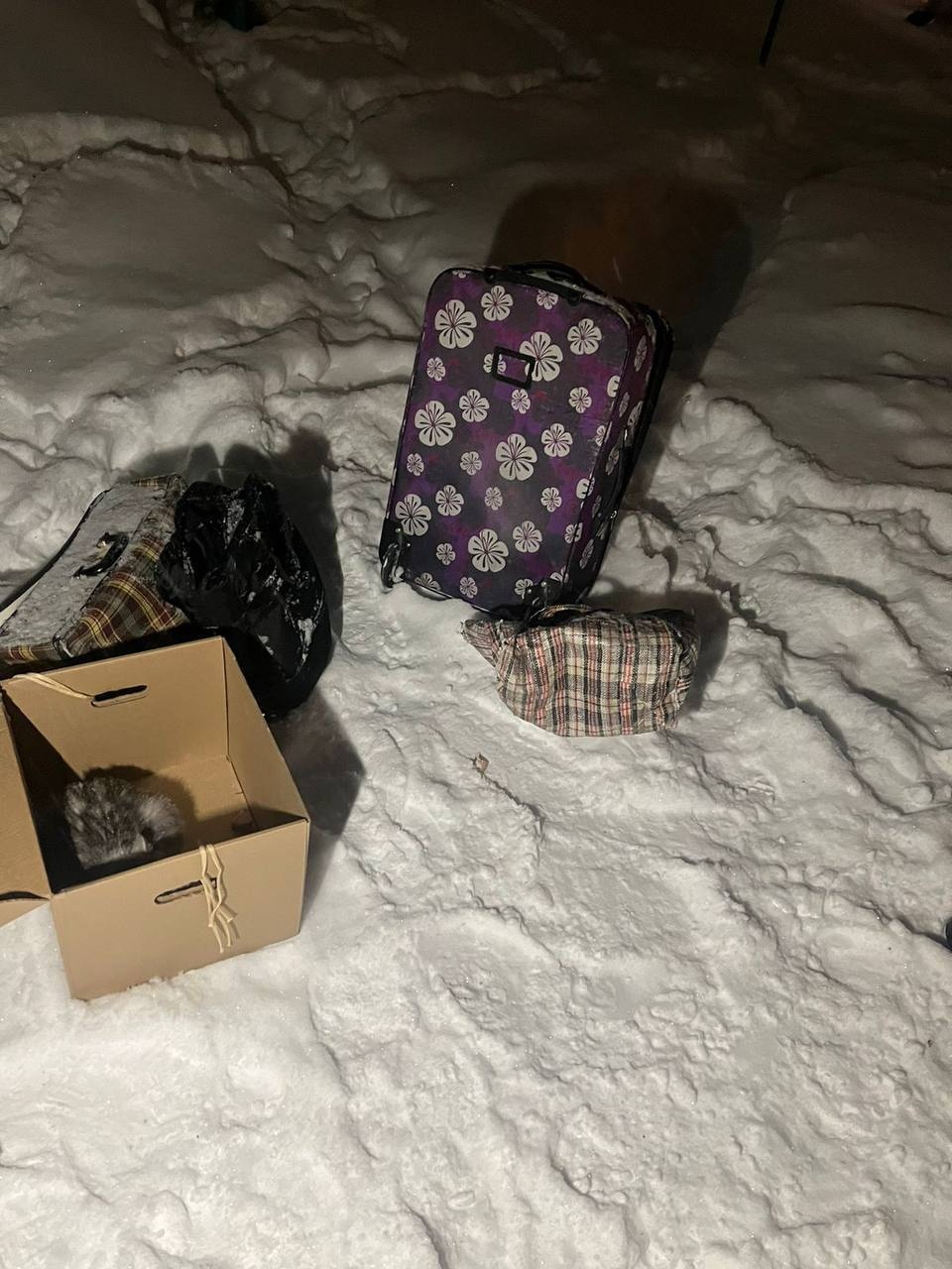 Татарстанцы хотят написать заявление на соседа, выбросившего кошек