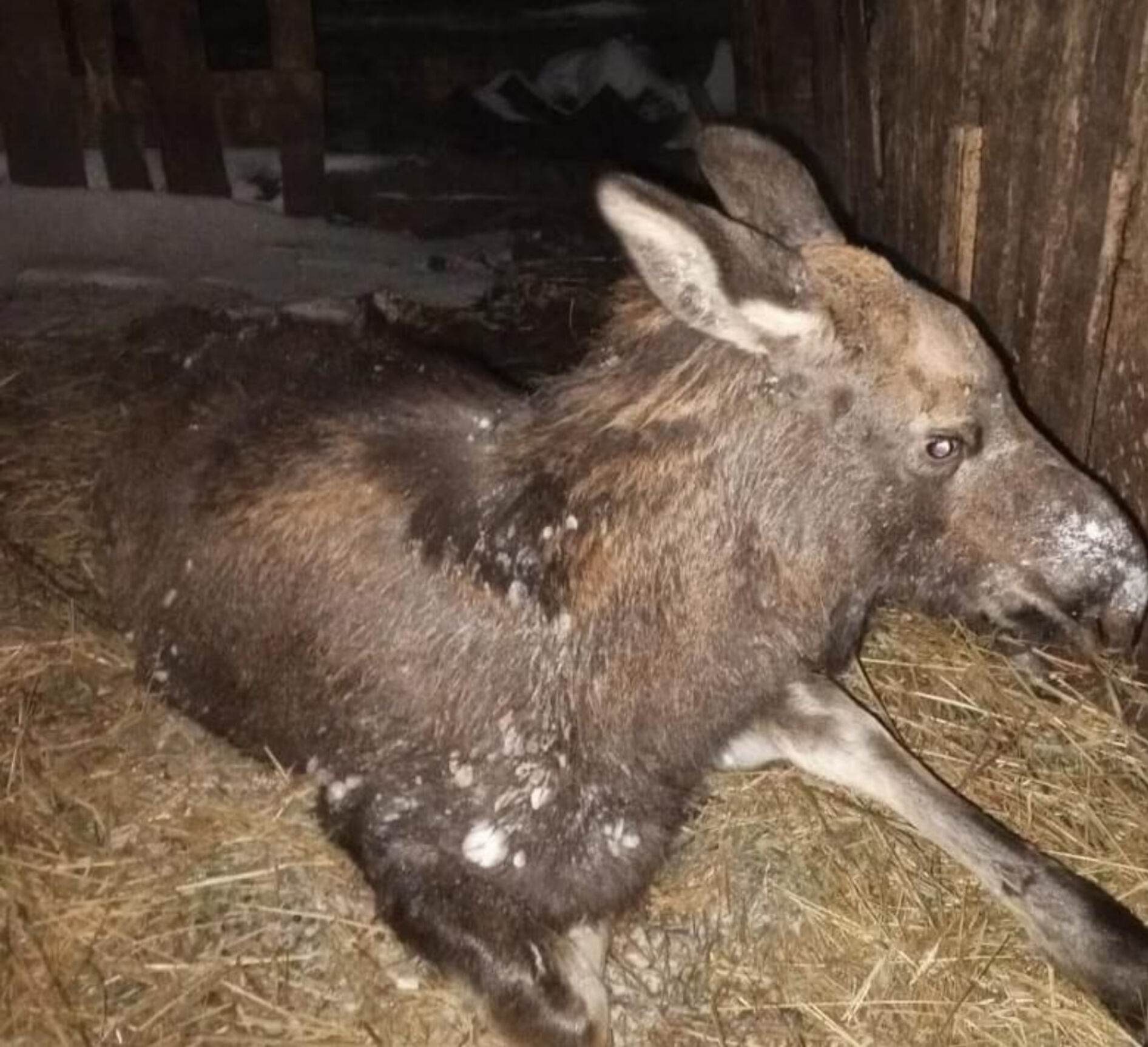 Госкомитет РТ по биоресурсам