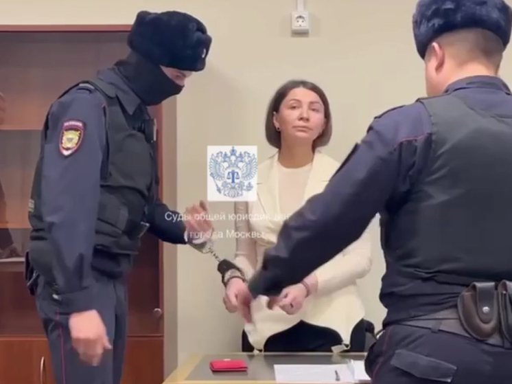 Блиновская обжаловала решение суда о заключении на три месяца в СИЗО