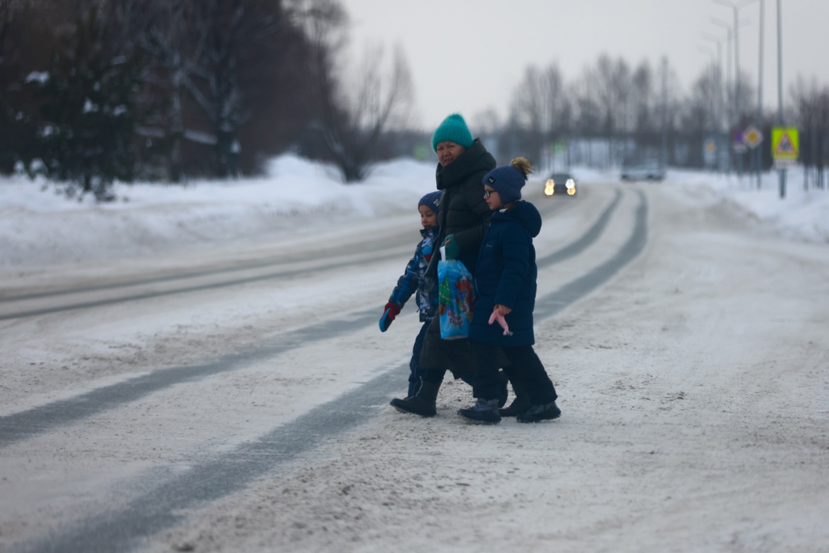 В России решили отменить НДФЛ для многодетных семей