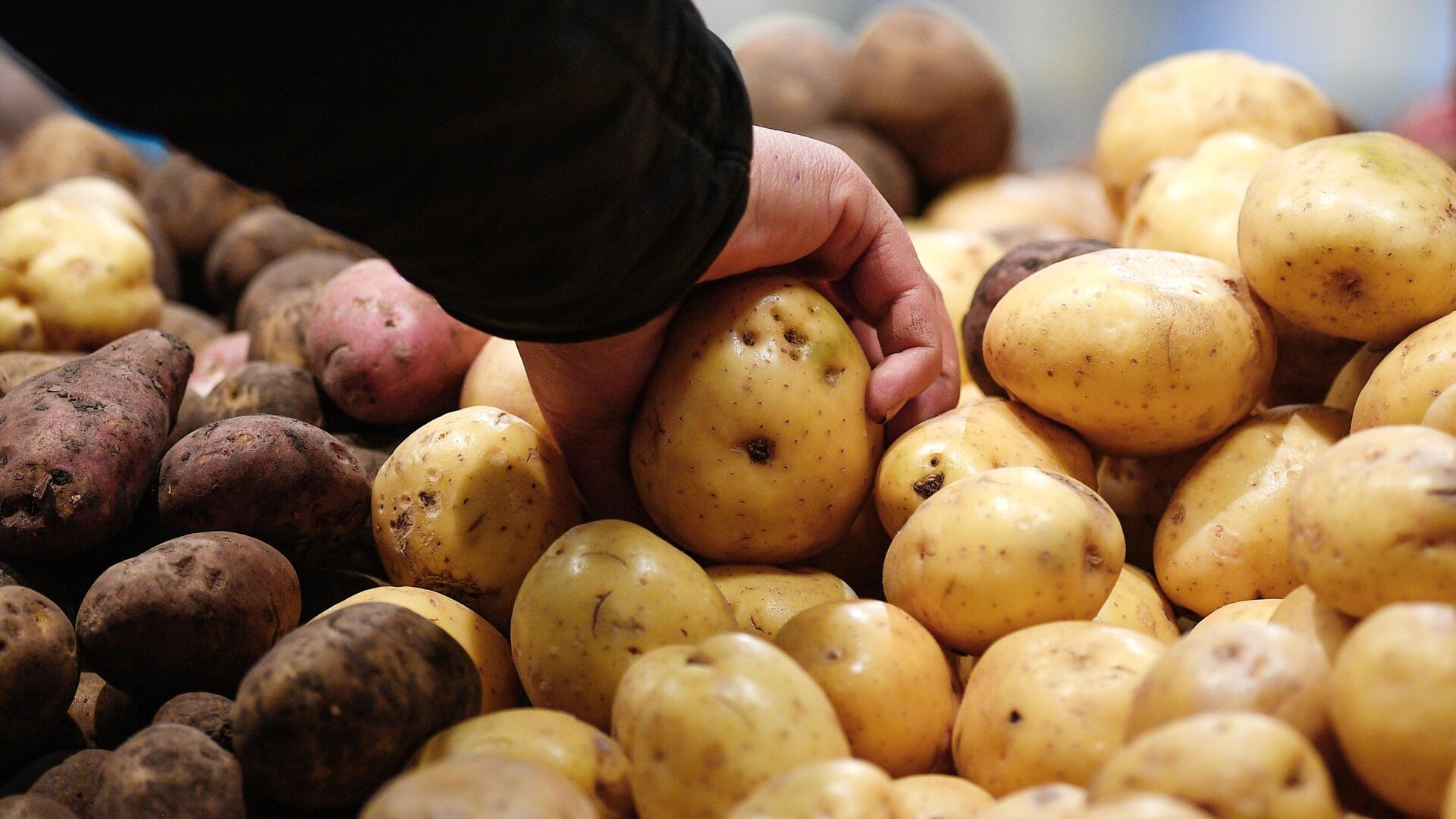 Врач назвала продукт, негативно влияющий на мозг