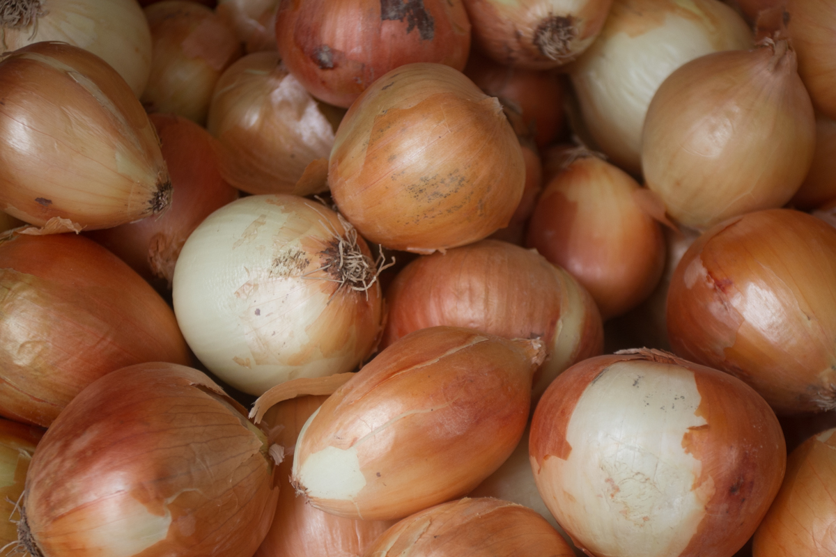 Законопроект об ускорении оплаты скоропортящихся продуктов поддержали