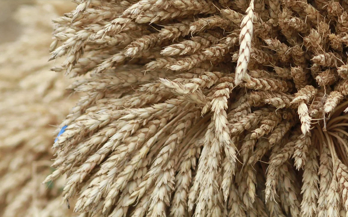 Минсельхоз Татарстана назвал лидеров в развитии сельского хозяйства