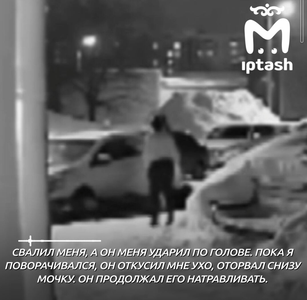 Хулиган натравил собаку на мужчину в Набережных Челнах