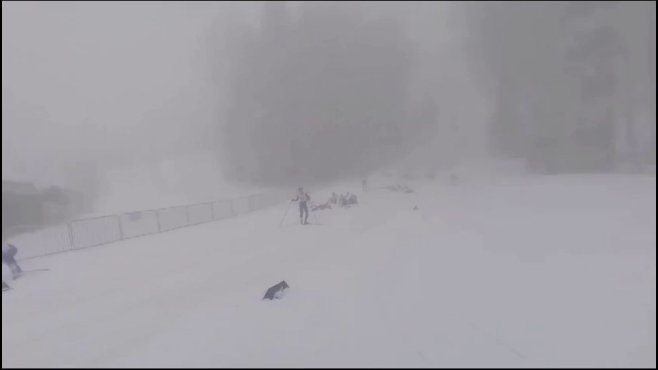 СК проверит инцидент с завалом во время лыжного забега в Сочи