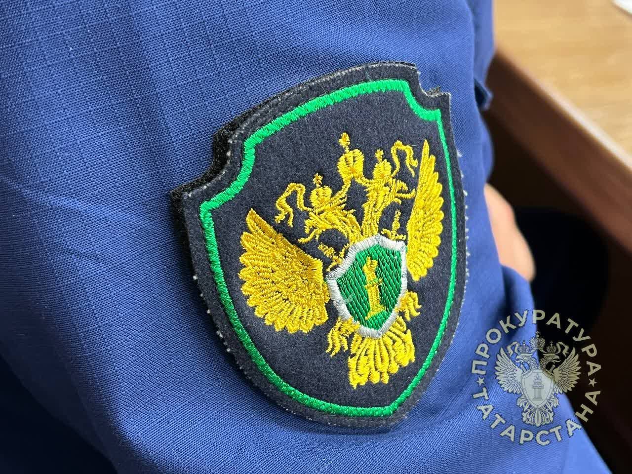 Жительницу Татарстана осудили за долг по алиментам в 2 млн рублей