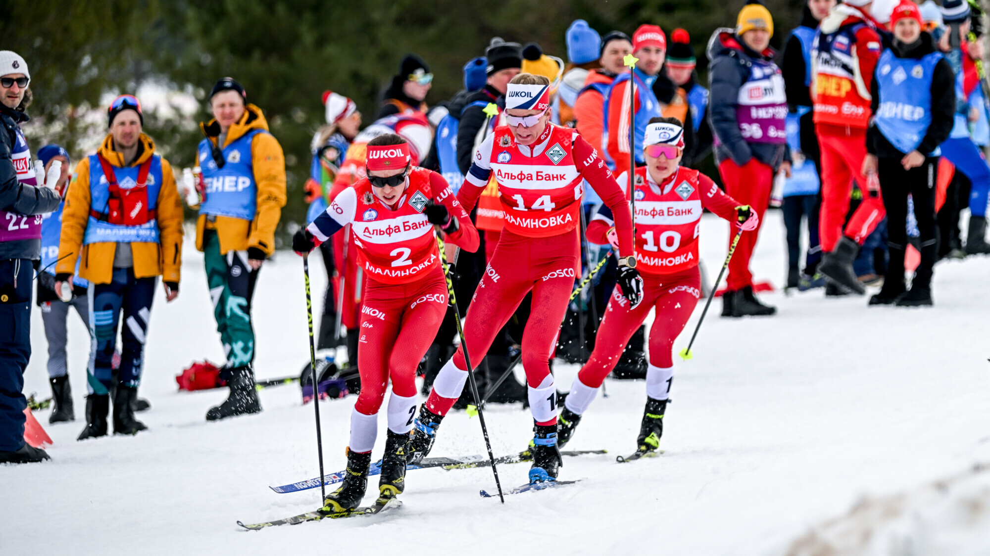 Этап чемпионата России по лыжным гонкам в Архангельске отменен