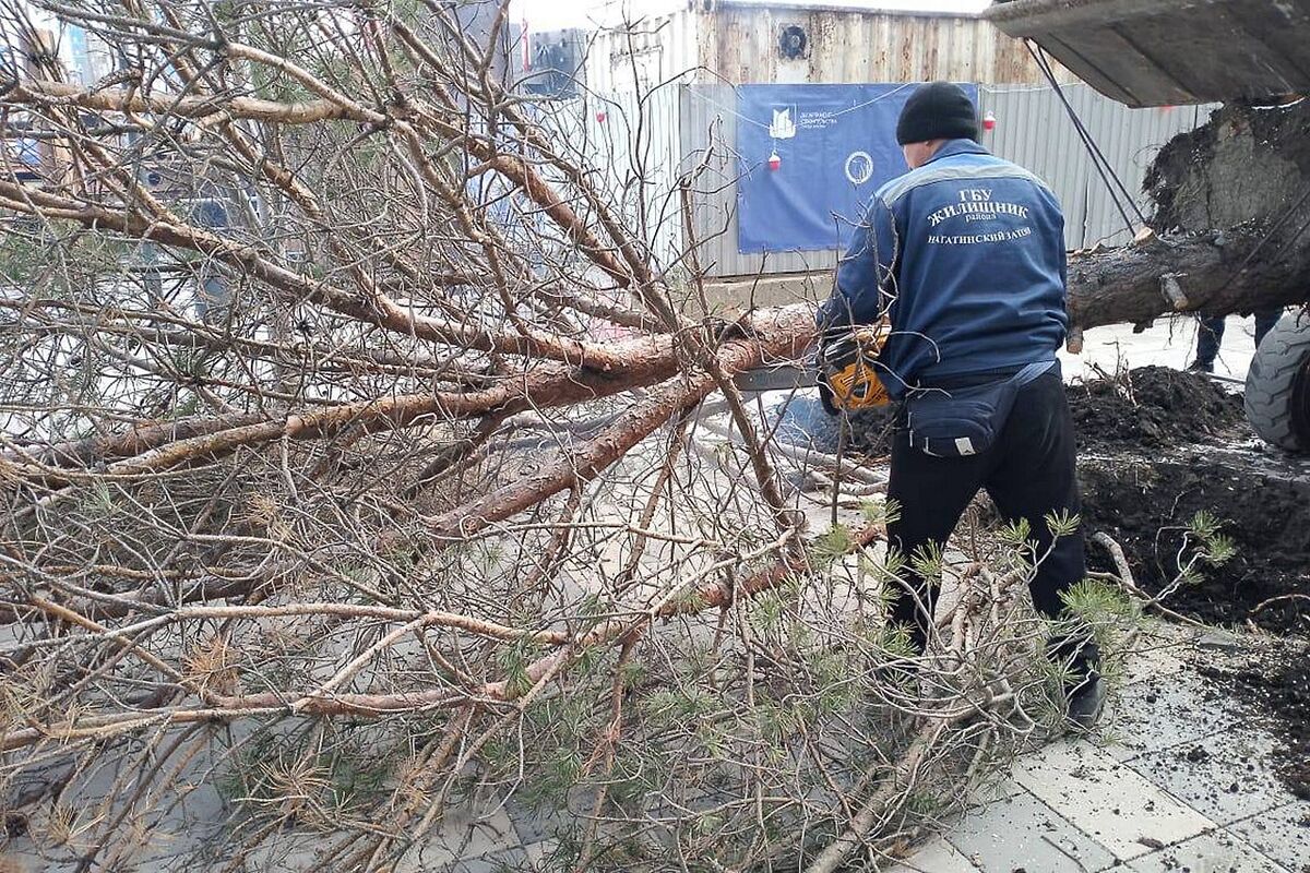 Штормовой ветер в Москве привел к гибели двух человек