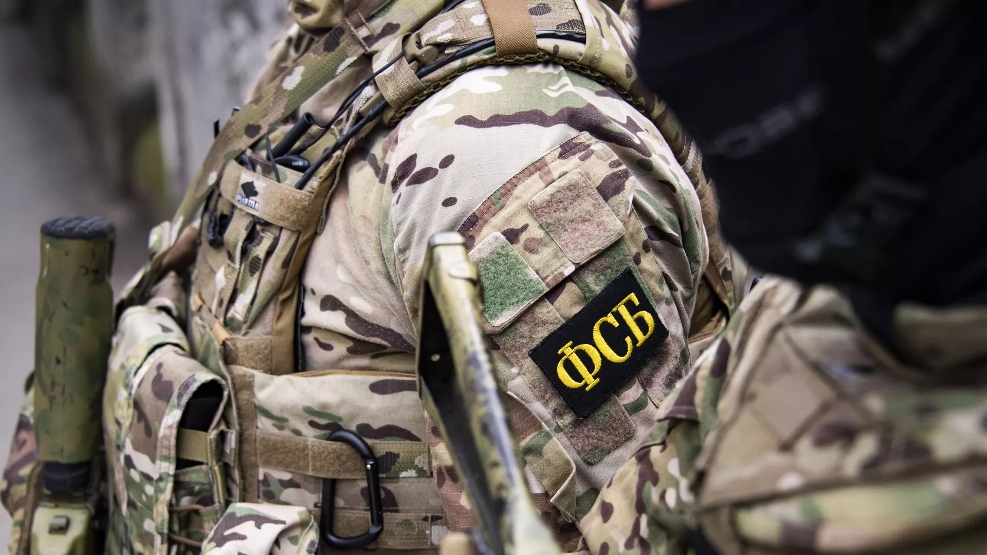 Силовики задержали новых причастных к теракту в «Крокусе»