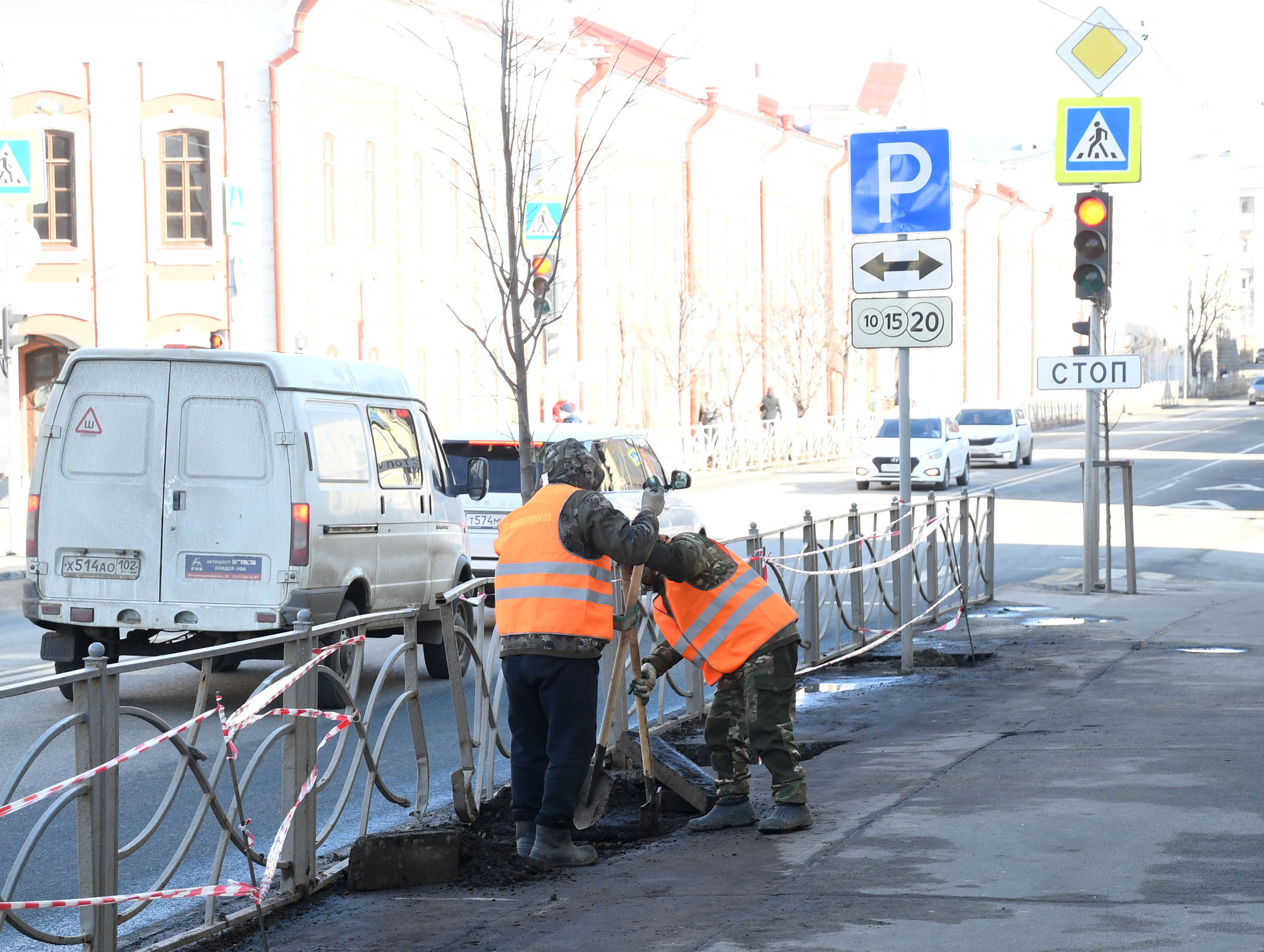 В Казани на укрепление деревьев выделят почти два миллиона рублей
