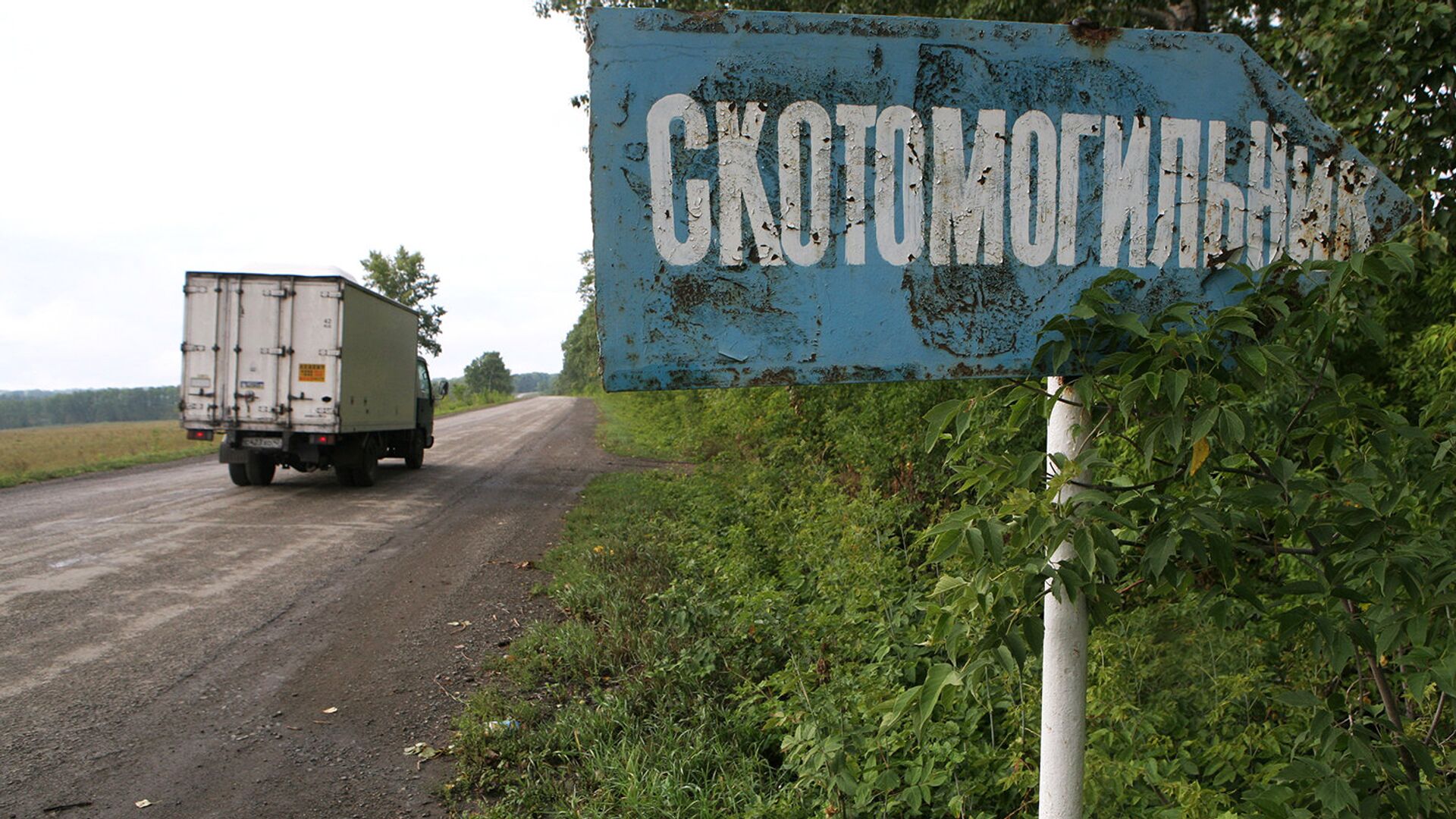 Могильники с сибирской язвой вскрылись в Казахстане из-за паводков