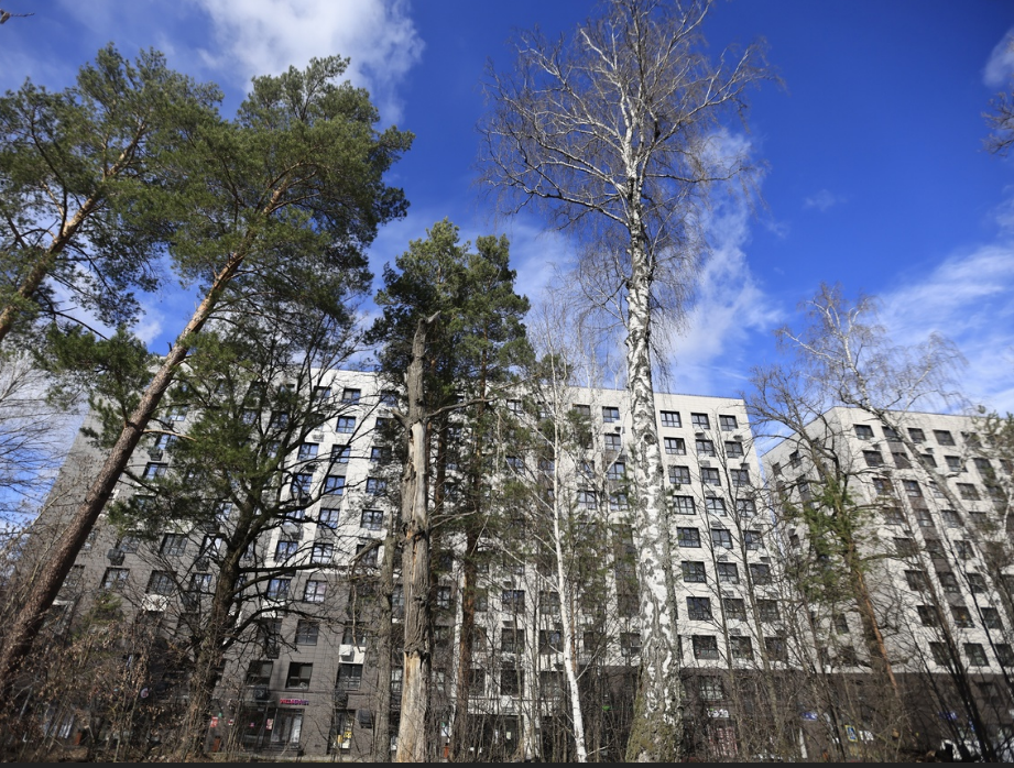 В Татарстан придут морозы и снег