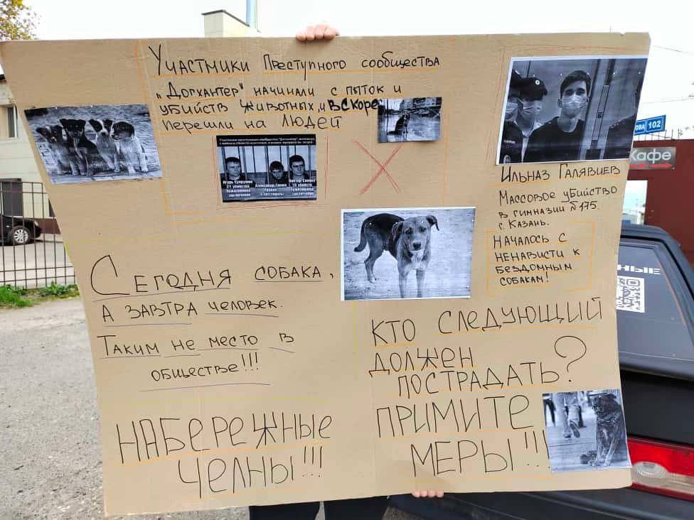 После жестокого убийства собаки в Челнах возбуждено уголовное дело