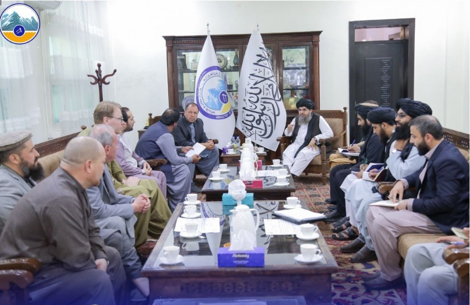 Татарстанцы обсудили в Кабуле проекты по добыче полезных ископаемых