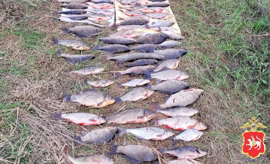 В Татарстане на браконьеров завели уголовное дело из-за 69 рыб