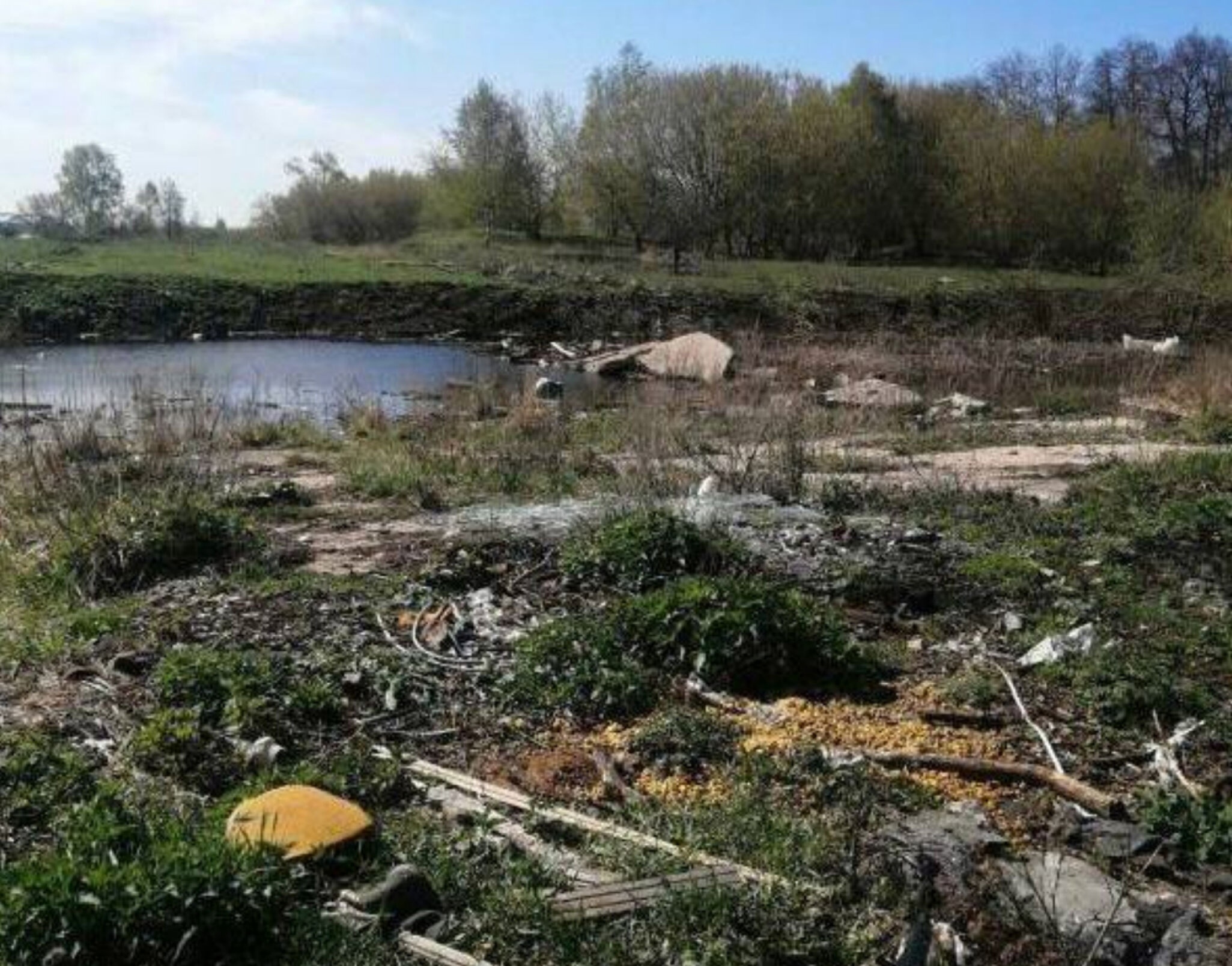 Экологи обнаружили незаконную свалку в Бугульминском районе