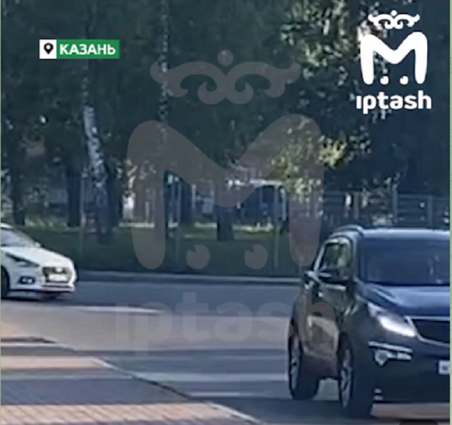 Под колесами автомобиля в Казани сильно пострадал лосенок