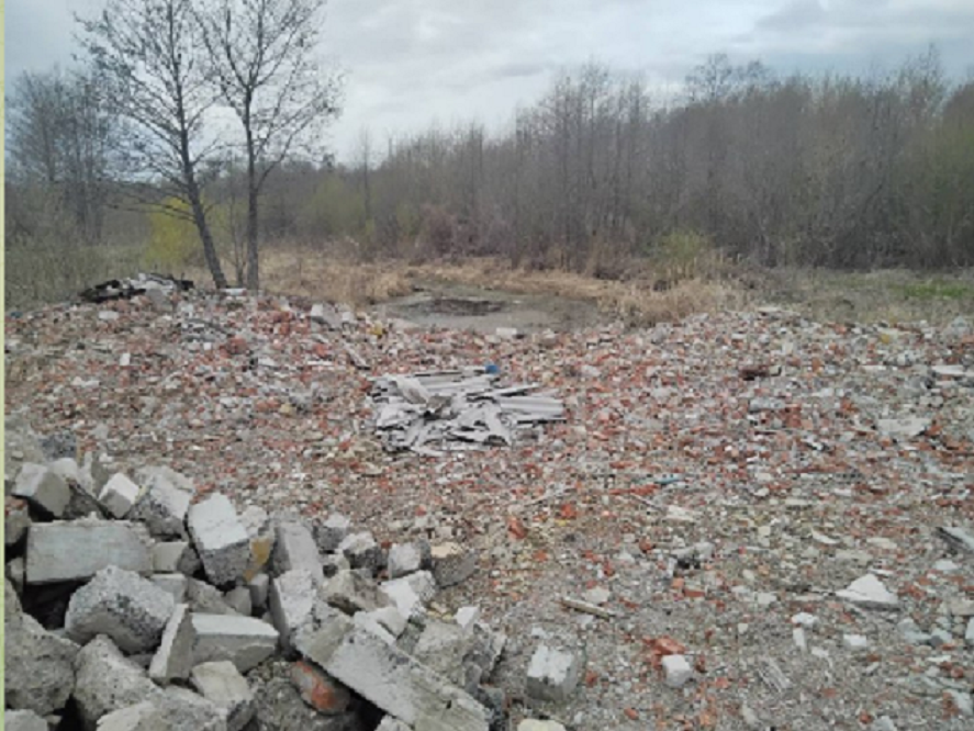Арбитражный суд Татарстана обязал возместить причиненный природе вред
