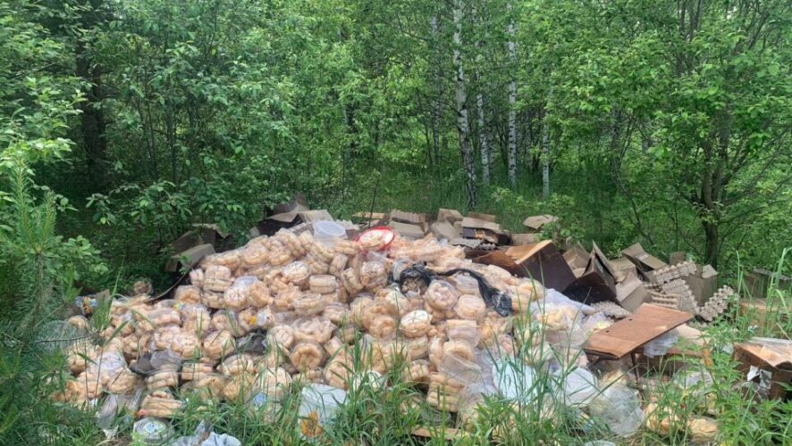 Экологи нашли в лесу Татарстана гору выброшенного баурсака