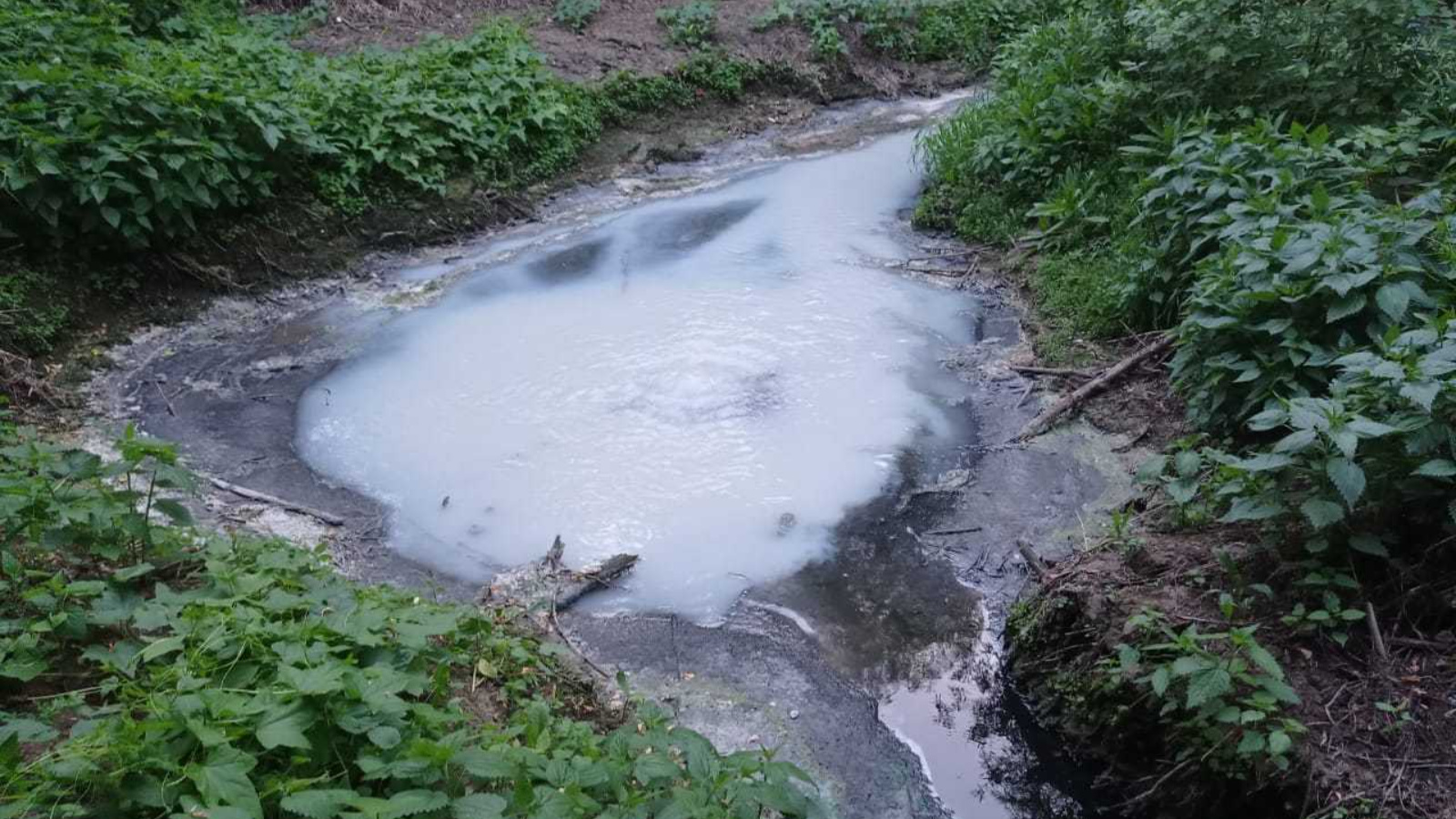 Экологи обнаружили сброс нечистот в Арске