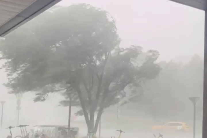 В Москве во время урагана скончался мужчина - на него упало дерево