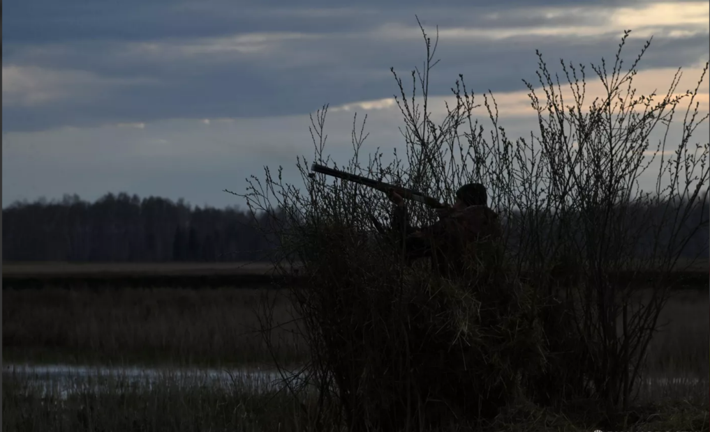 Запрет на все виды охоты в охотугодьях вводится в Татарстане