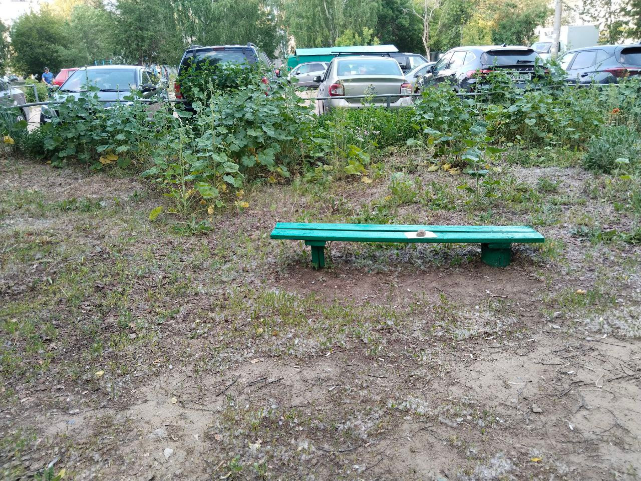 Жители казанской многоэтажки просятся в программу «Наш двор», но она не для  всех