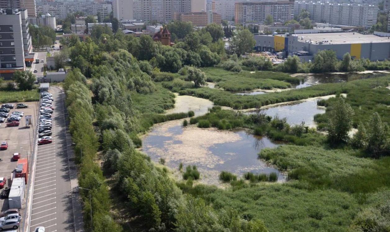 Началось благоустройство территории Большого Чайкового озера в Казани