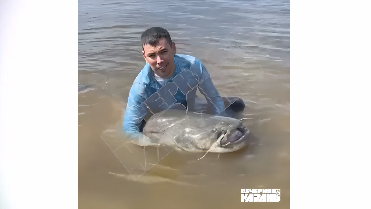 Под Казанью поймали сома-гиганта