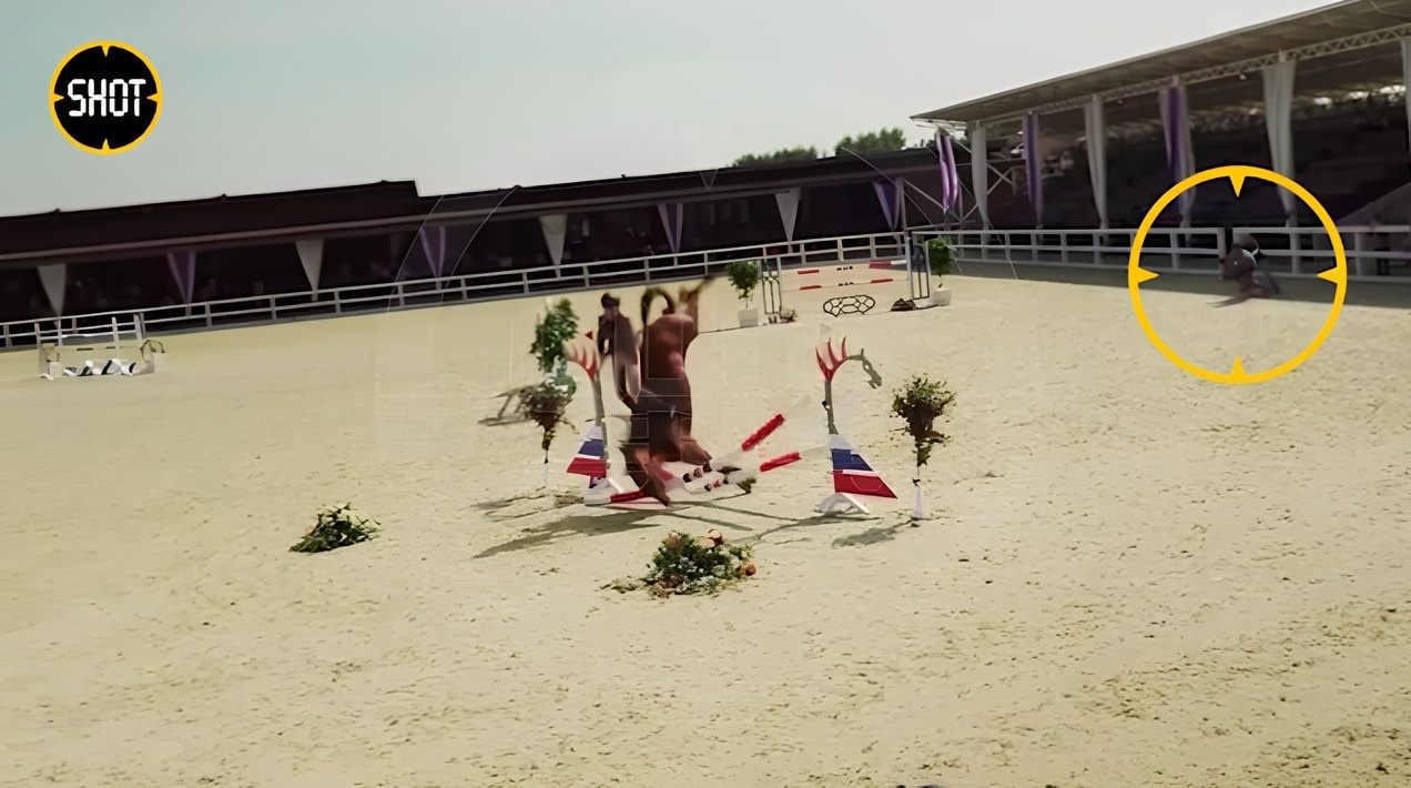 В России разразился скандал из-за пострадавшего на съемках фильма животного