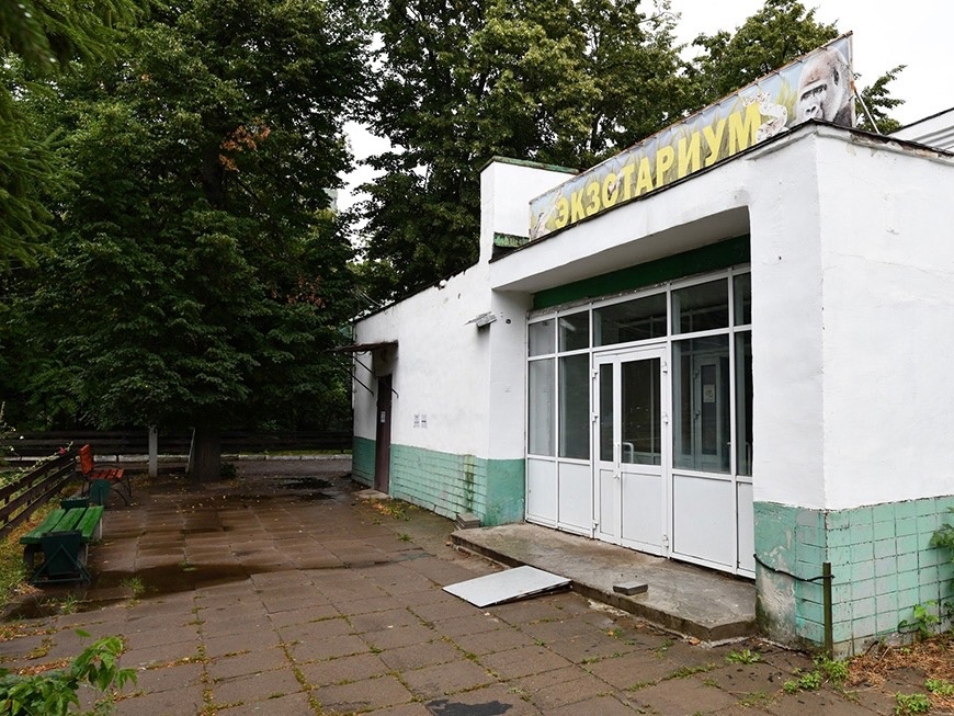 В Казани зооботсад пополнился экзотическими австралийскими животными
