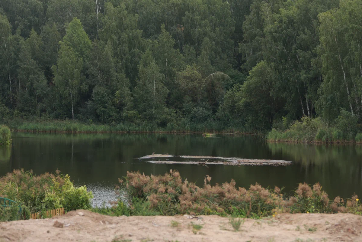 Татарстанцев предупредили о высокой пожароопасности лесов