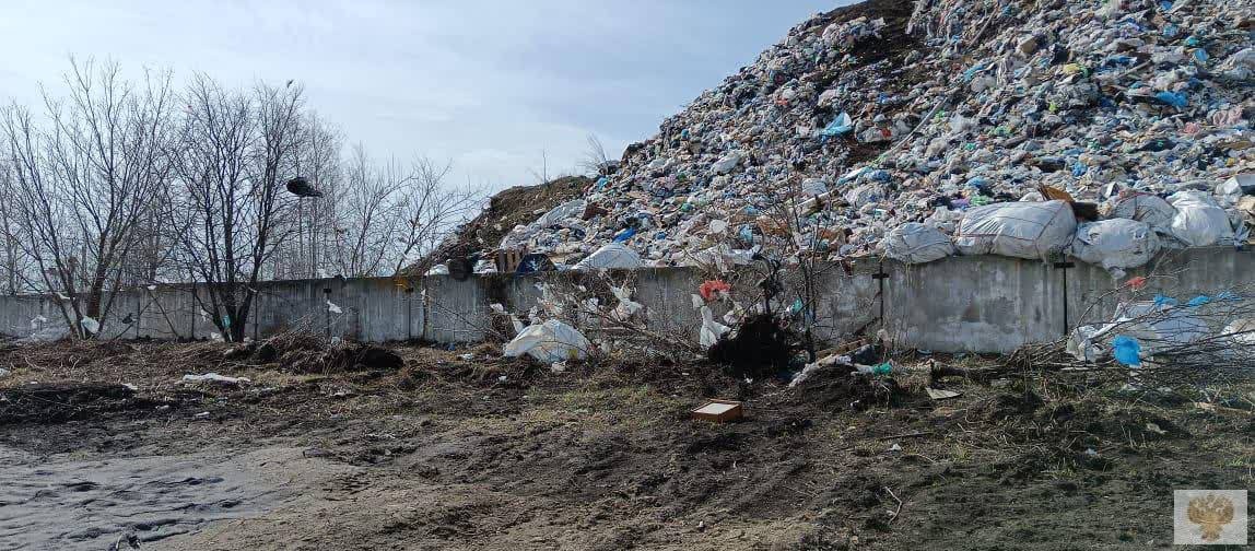 Компанию в Альметьевске наказали за захламление мусором полигона ТБО