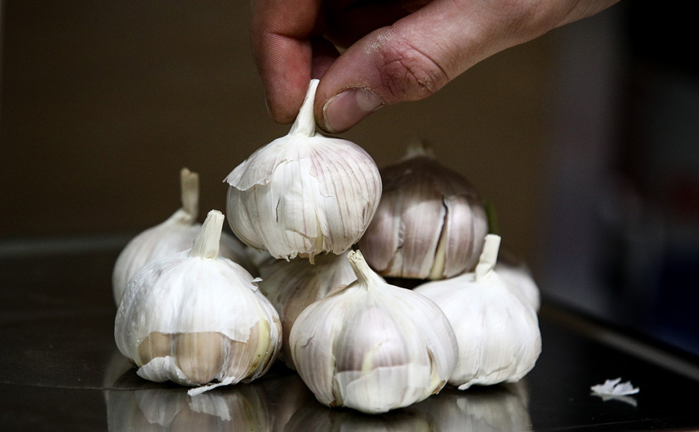 Жителям Татарстана рассказали, как собирать урожай