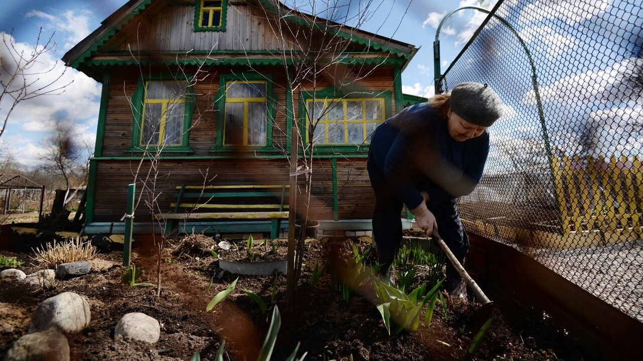 Россиянам рассказали, как бороться с вредителями на участке