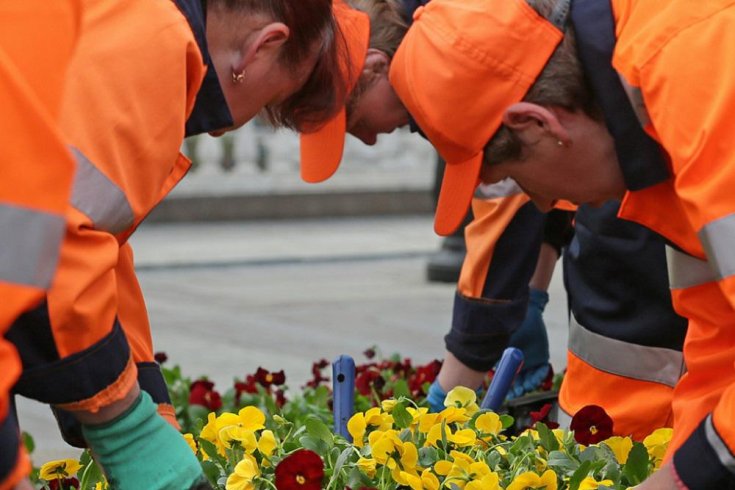 В Казани планируют озеленить участок по улице Серова
