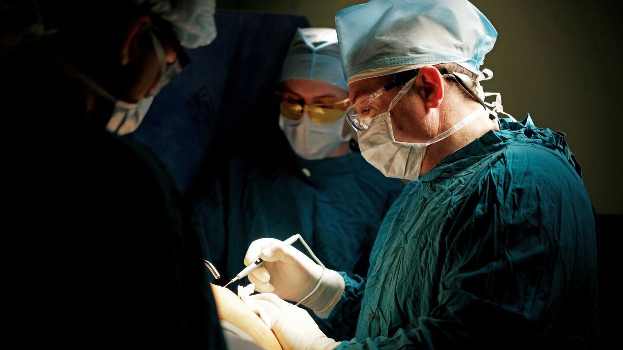 Роспотребнадзор сообщил, что вирус Чандипура не распространится в России