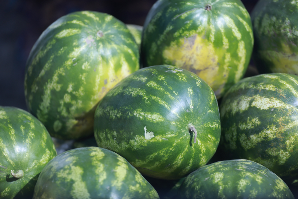 В Минсельхозе ожидают стабилизацию цен на арбузы и дыни
