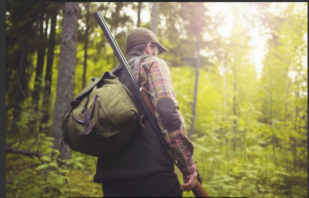 Для татарстанцев увеличили лимит и квоты добычи лосей, косуль и оленей