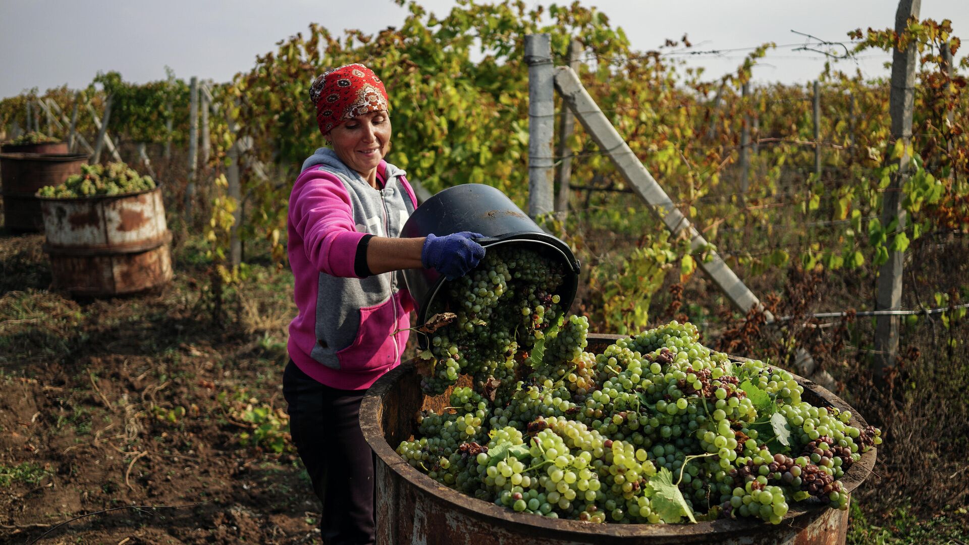 Марат Ахметов: «Есть две основные проблемы сельского хозяйства Татарстана»