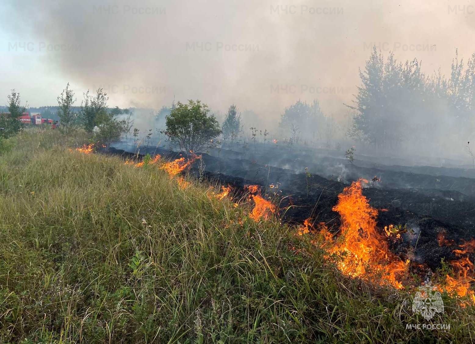 В МЧС Татарстана напомнили, из-за чего может загореться лес