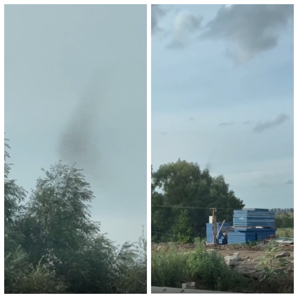 Эксперт КФУ объяснил «комариный торнадо» в Лаишевском районе