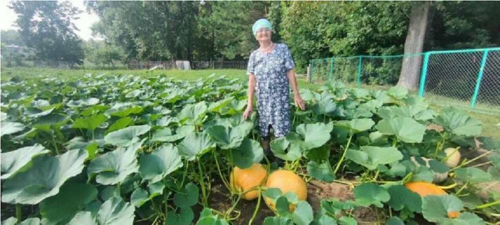 Пенсионерка из Кукмора вырастила огромную тыкву весом 32 килограмма