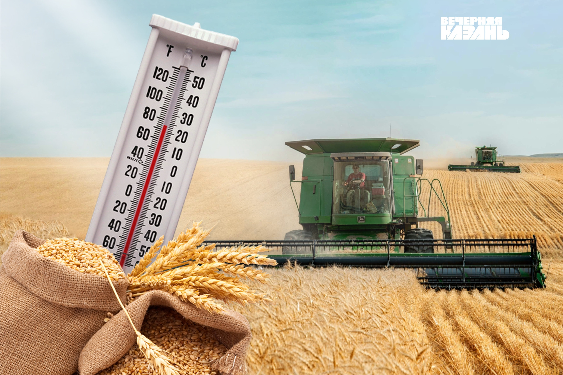 Цены дали жару: как татарстанские аграрии справляются с последствиями засухи