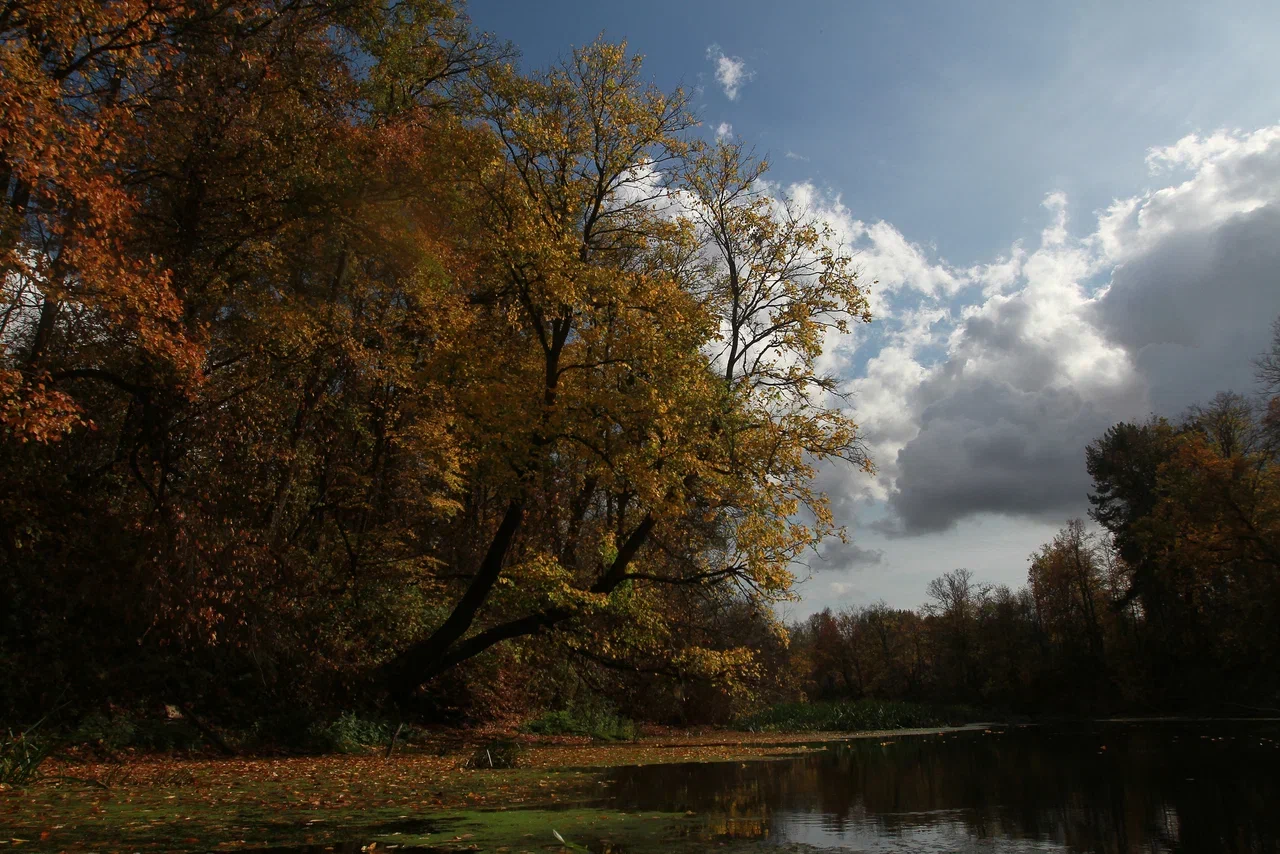 В КФУ заявили, что лето в Татарстане идет с избытком тепла