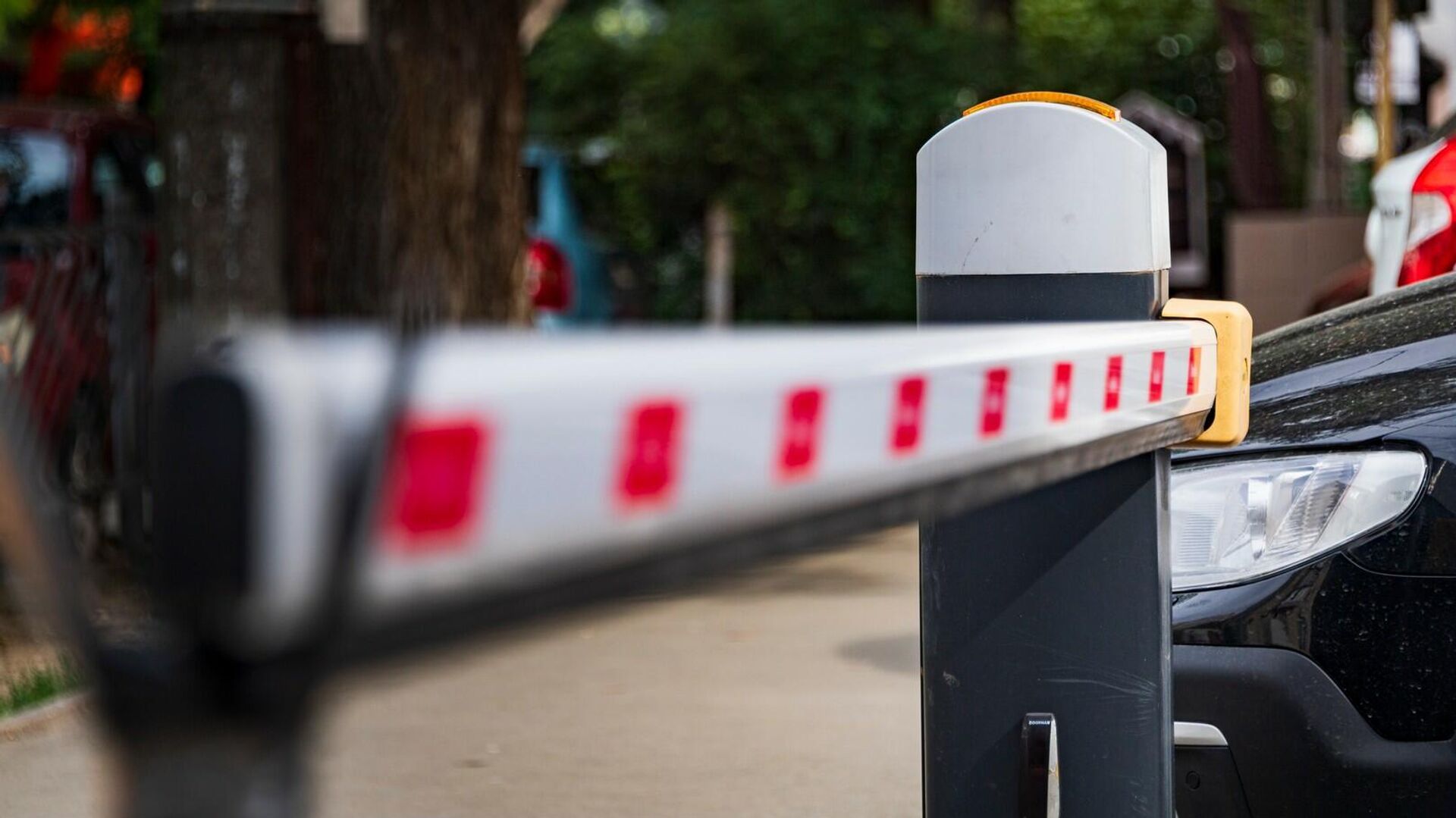 Метшин высказался о самовольной установке шлагбаумов: «Это не их огород»