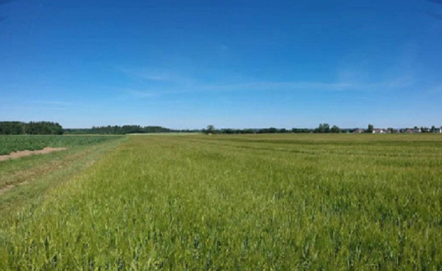 Суд в Татарстане признал недействительным договор купли-продажи земельного пая